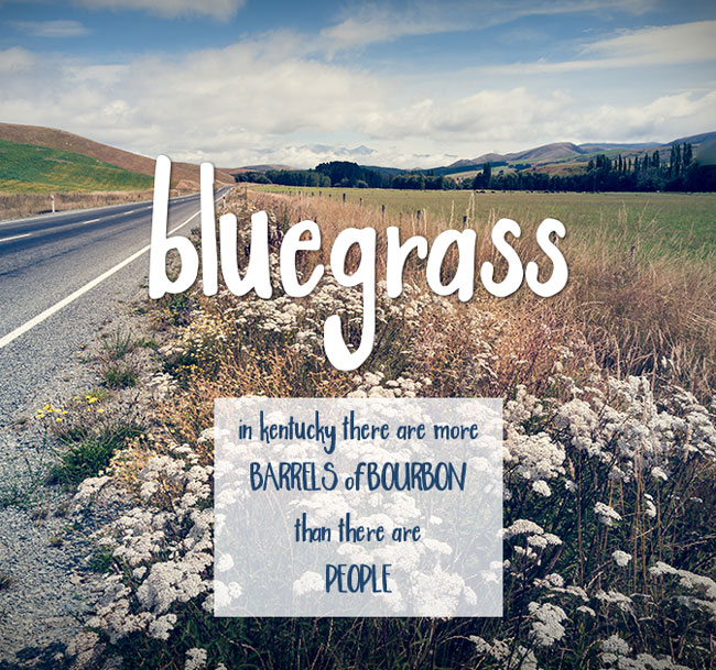 Bluegrass