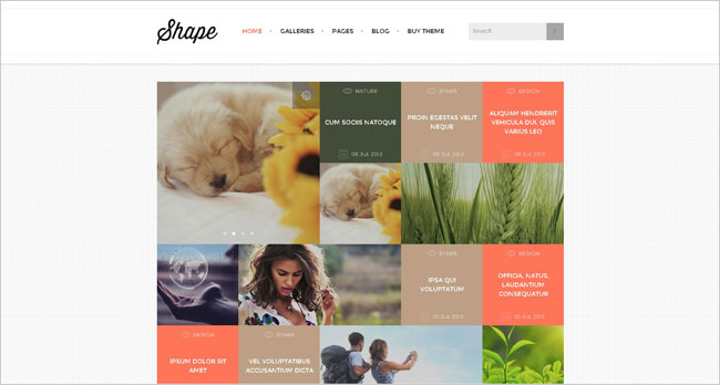 Teslathemes