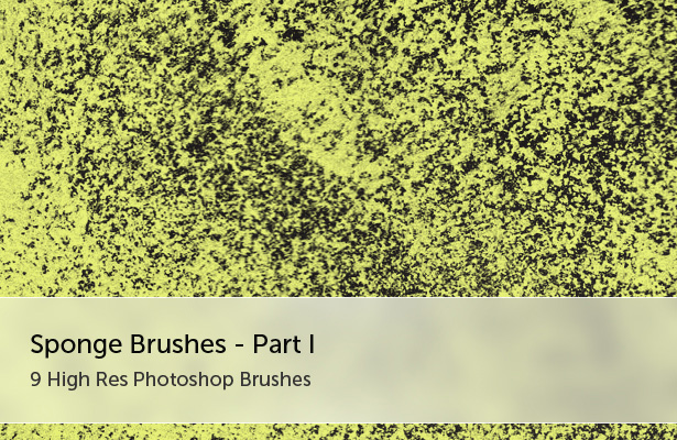 Sponges Brushes - Part I