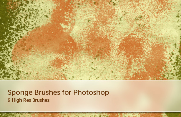 Sponges Brushes - Part II