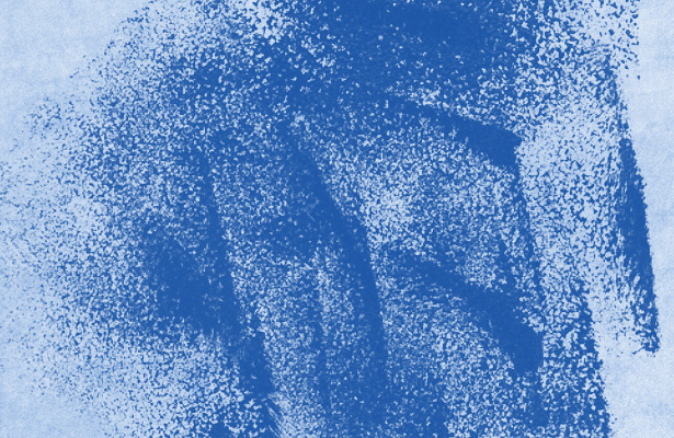Sponges Brushes - Part III