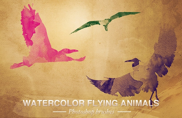Watercolor Flying Animals Brushes
