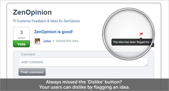 Report Opinion