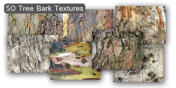 Tree Bark Texture Set