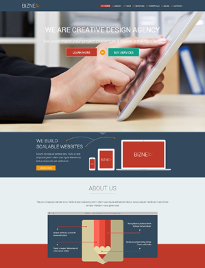 BizNex theme