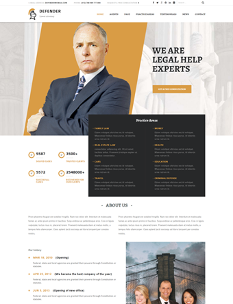 Defender wp theme