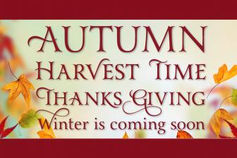 Laura Worthington's Yana Typeface (3 Font Styles) - only $15!