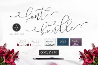 Exclusive! 5 Beautiful Script & Calligraphy Fonts - only $9!